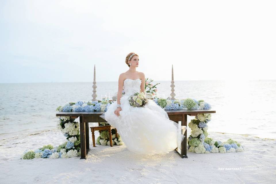 Bridal portrait