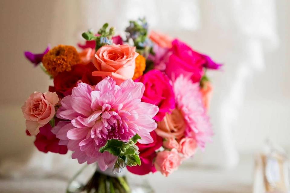 Bellagala Wedding Planners - Raleigh