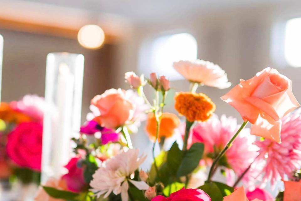 Bellagala Wedding Planners - Raleigh