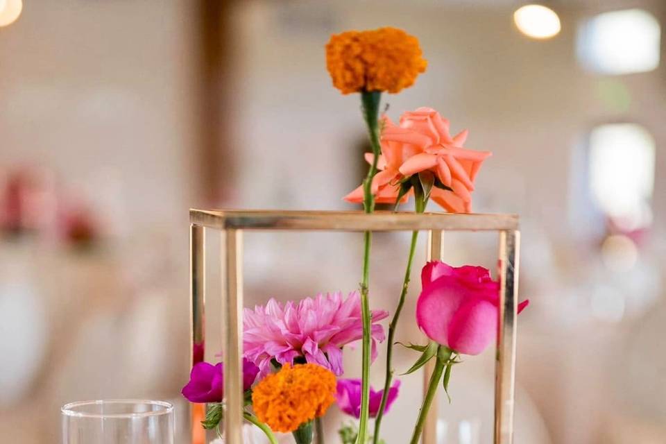 Bellagala Wedding Planners - Raleigh
