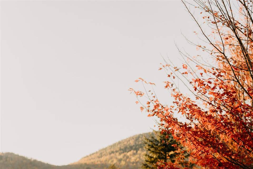 Fall
