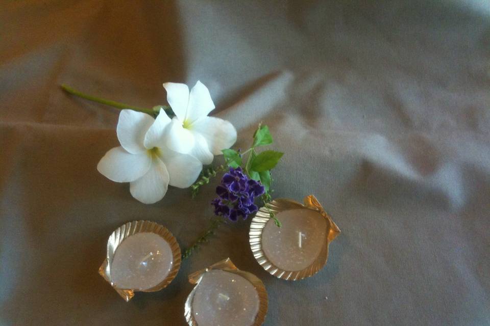 Beach Candles.  Gold Scallops in Sea Glass White with Ocean Breeze Fragrance.  Sold in sets of 6.