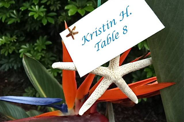 Starfish Place Card... This is great because it's also a wedding favor.  Can be personalized.