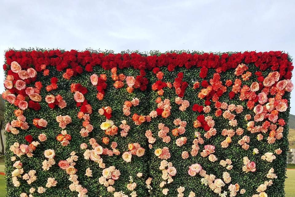 GALA Ombre Fresh Flower Wall