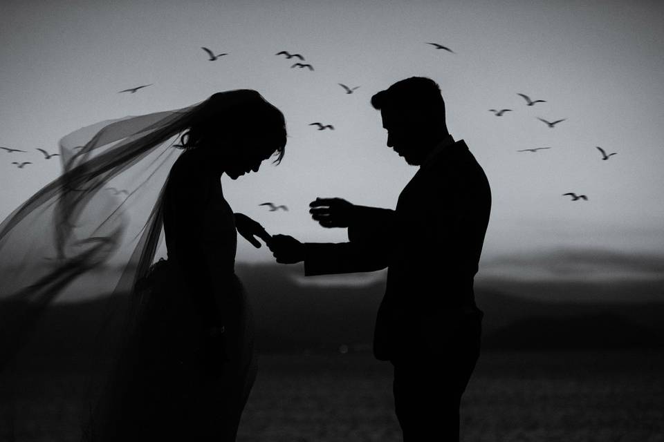 Silhouette love at golden hour