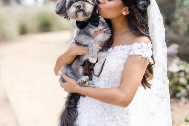 Wedding pup!
