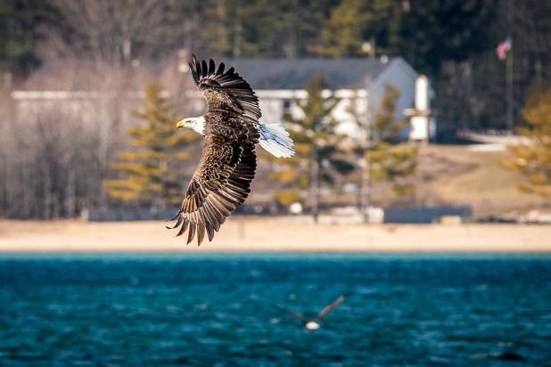 Beaver Island Lodge