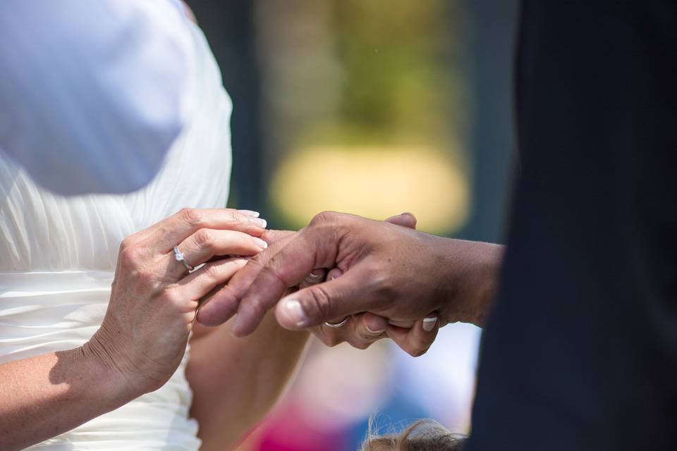 New Zealand Wedding