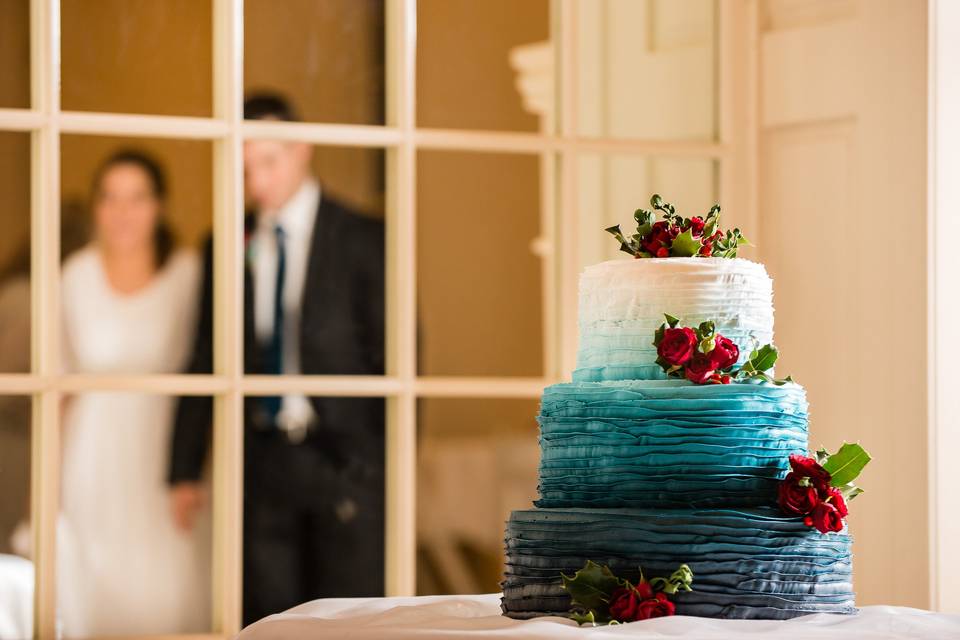A beautiful ombre cake.