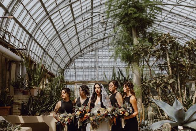 Megan Saul Photography