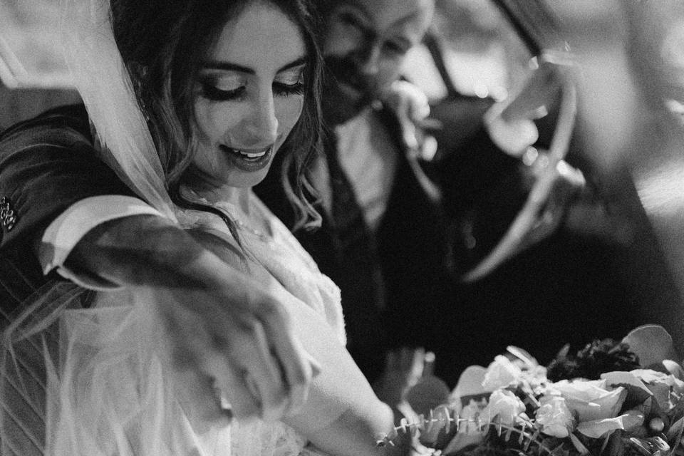 Megan Saul Photography