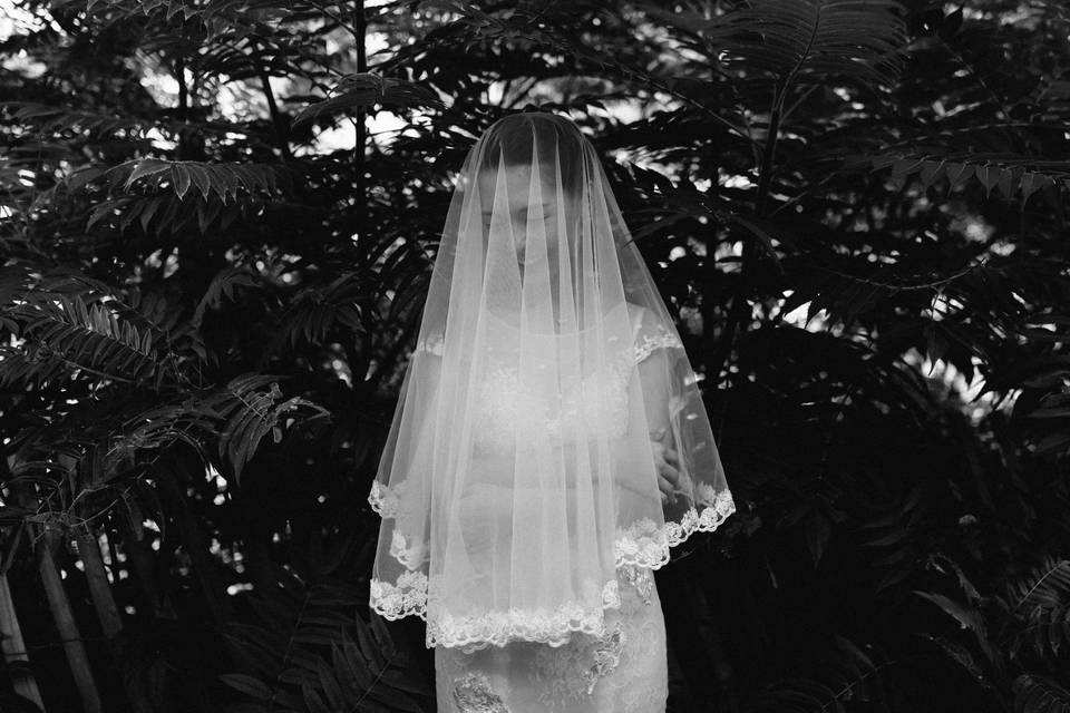 Megan Saul Photography
