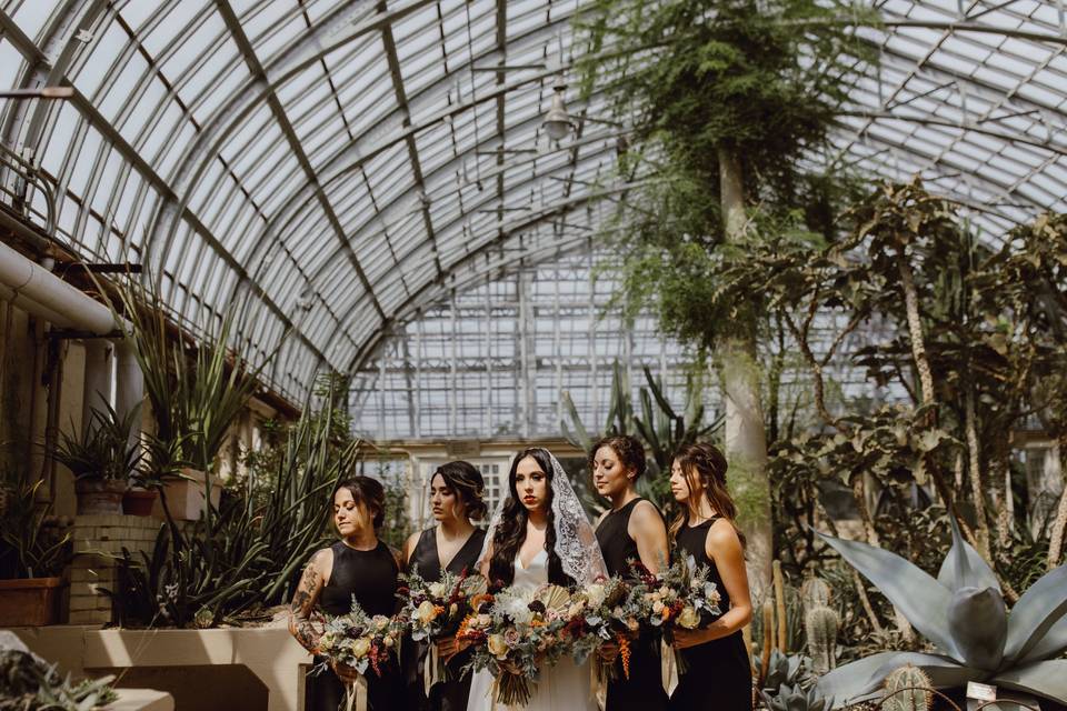 Megan Saul Photography