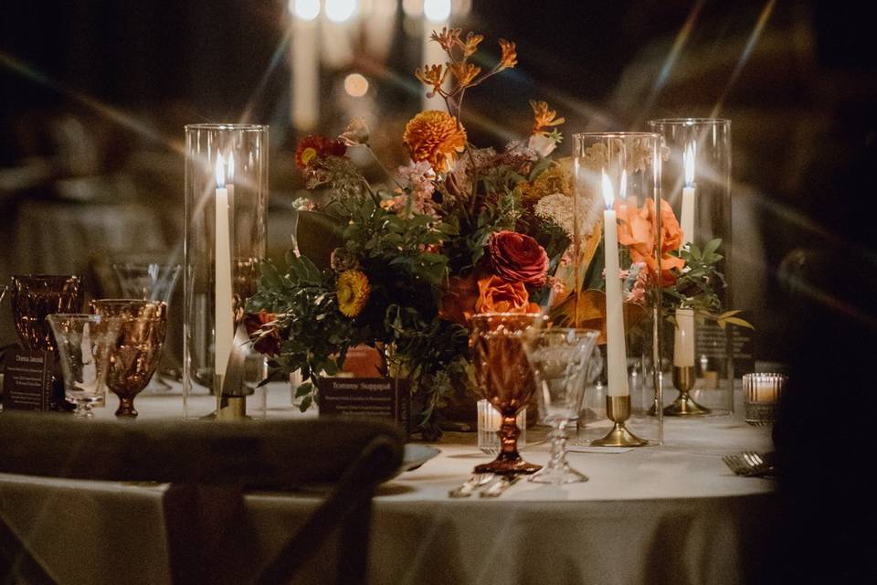 Megan Saul Photography