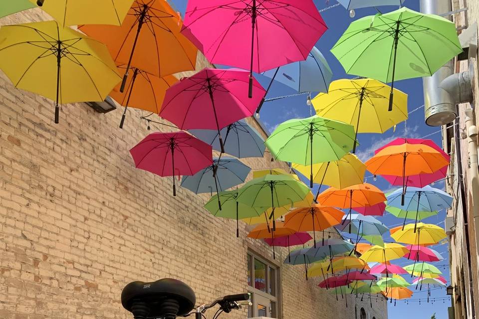 Something Sweet Bike