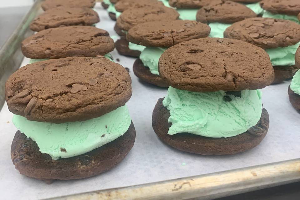 Double Chocolate Mint Chip