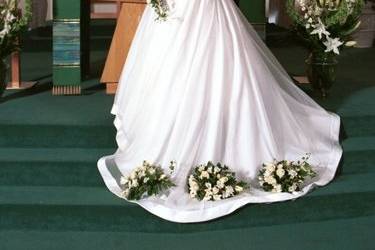 Jay's Photos