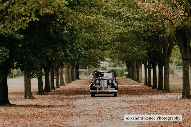 The Boulevard