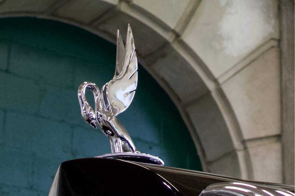 Packard Emblem