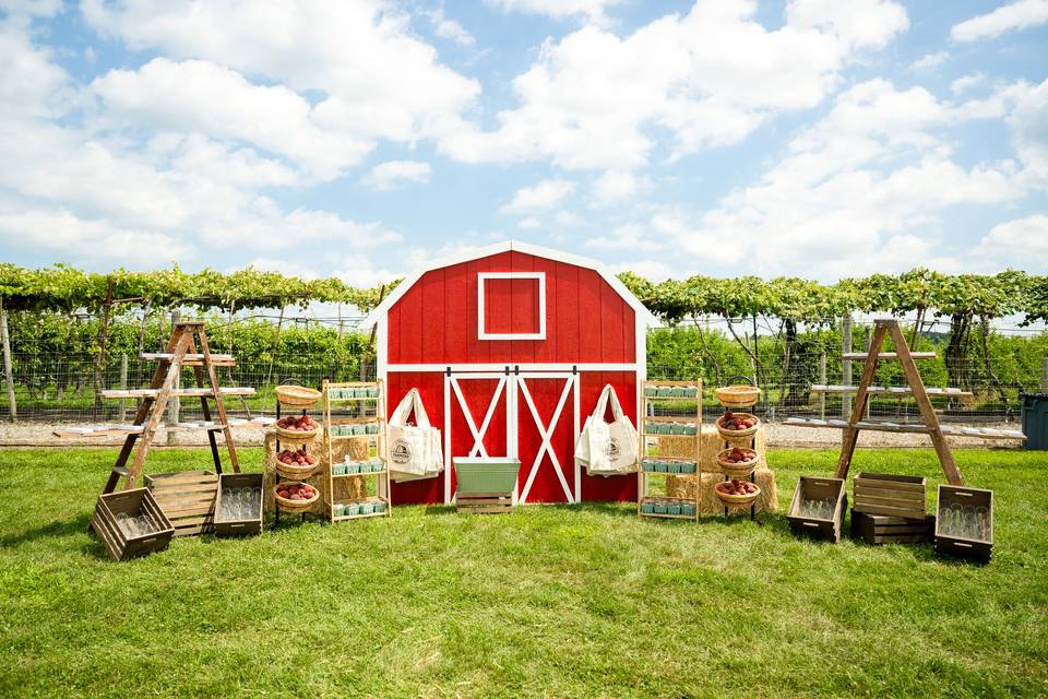 Barn outdoor interactive