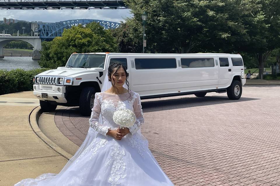 Executive Limousine and Shuttle Service LLC