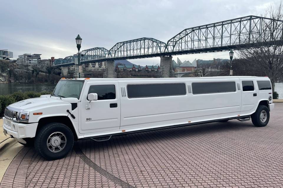 Executive Limousine and Shuttle Service LLC