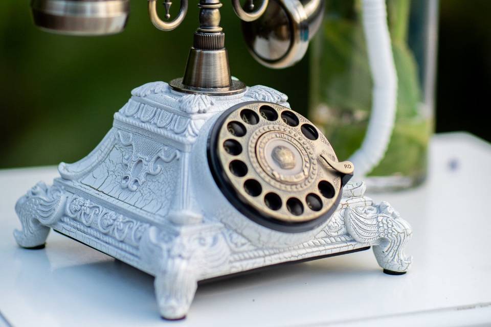Ivory Elegance