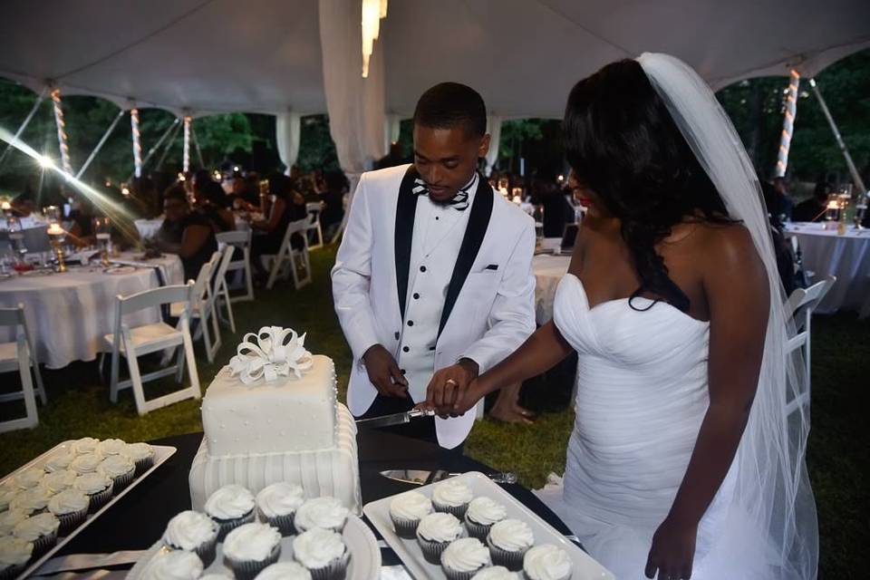 Cake cutting