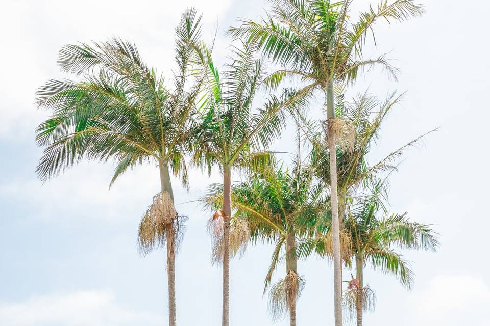 Ceremony Site