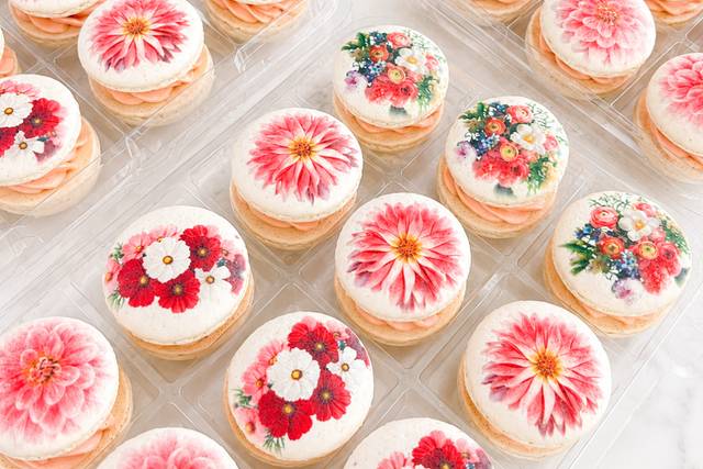 Floral Printed