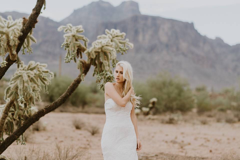 Jenna Bryant Photography