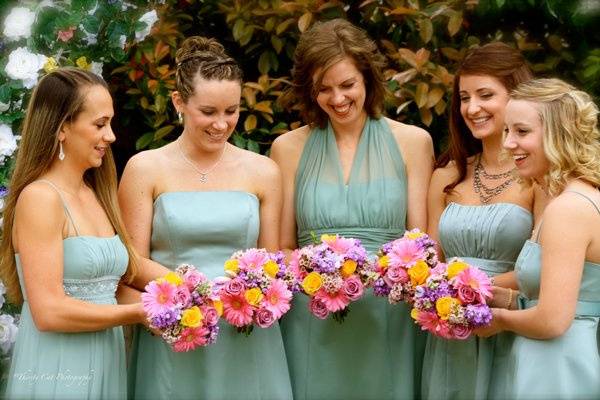 Thirsty Cat Photography