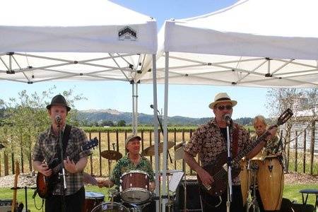 The Manzanita Band at a Winery Performance in Sonoma County