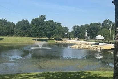 Pond