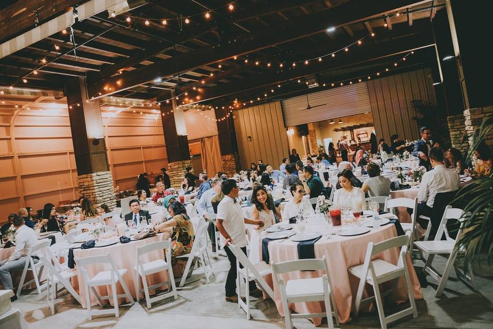 Reception in the patio