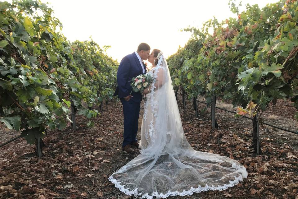Kiss in the vineyards (August)