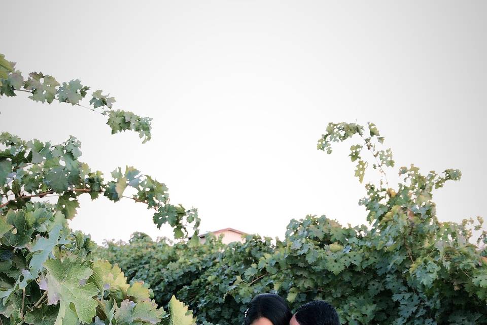 San Joaquin Winery