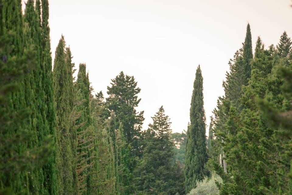 Wedding in Tuscany