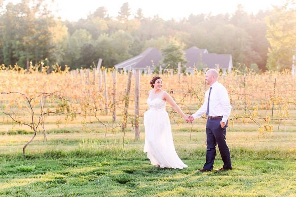 Vineyard