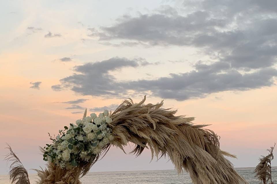 Pampas Grass Arch