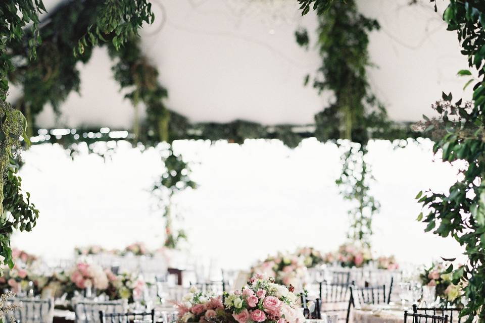 Orange Blossoms Florals and Event Styling