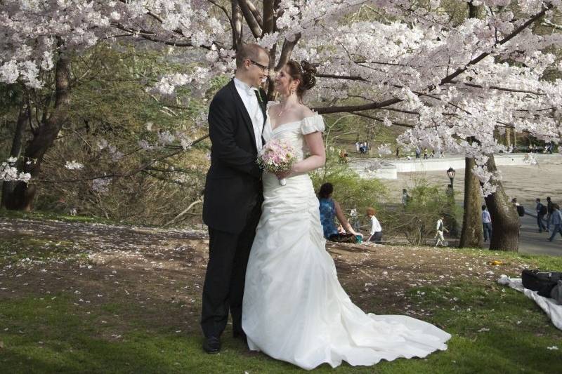 Springtime in Central Park.