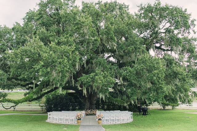 Ceremony Spot