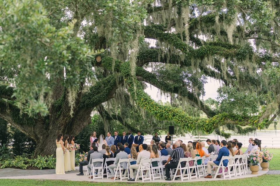 Ceremony Spot