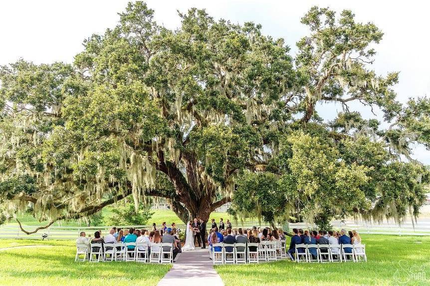 Ceremony tree