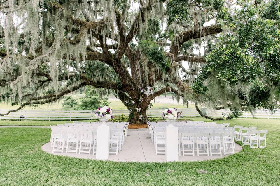 Ceremony under the Oak Tree