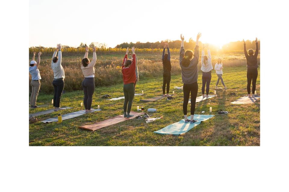 Yoga at Modales Winery