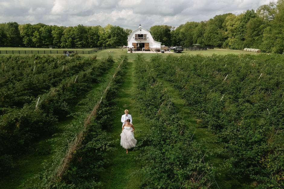 Aerial outdoor wedding pews
