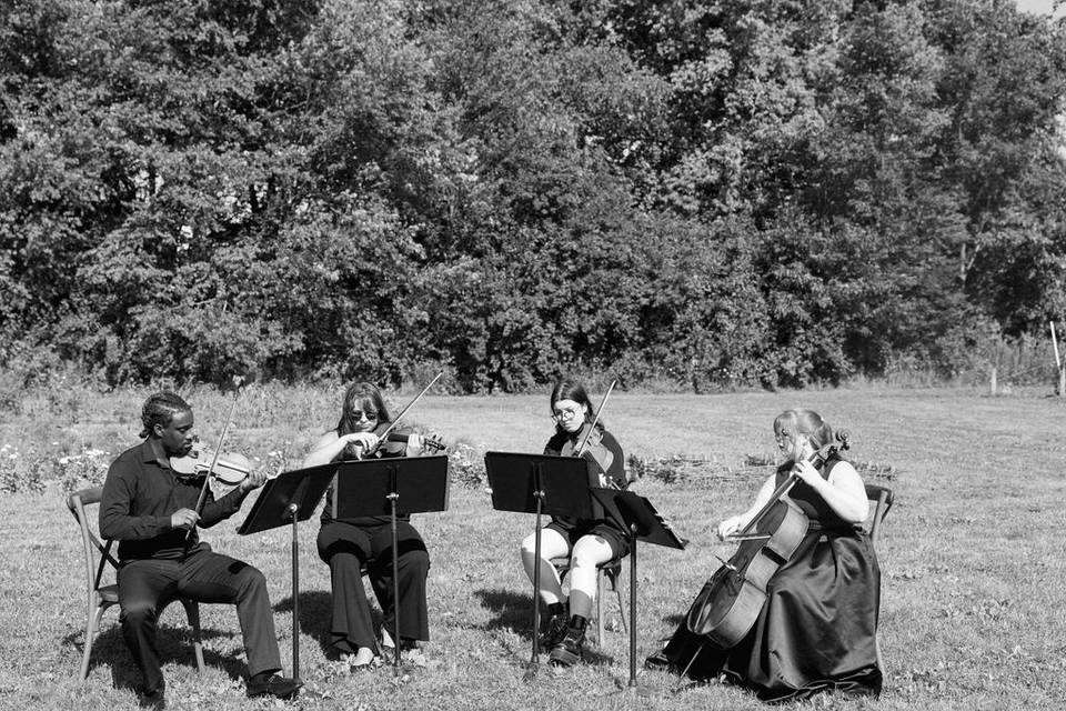 Wedding barn string quartet