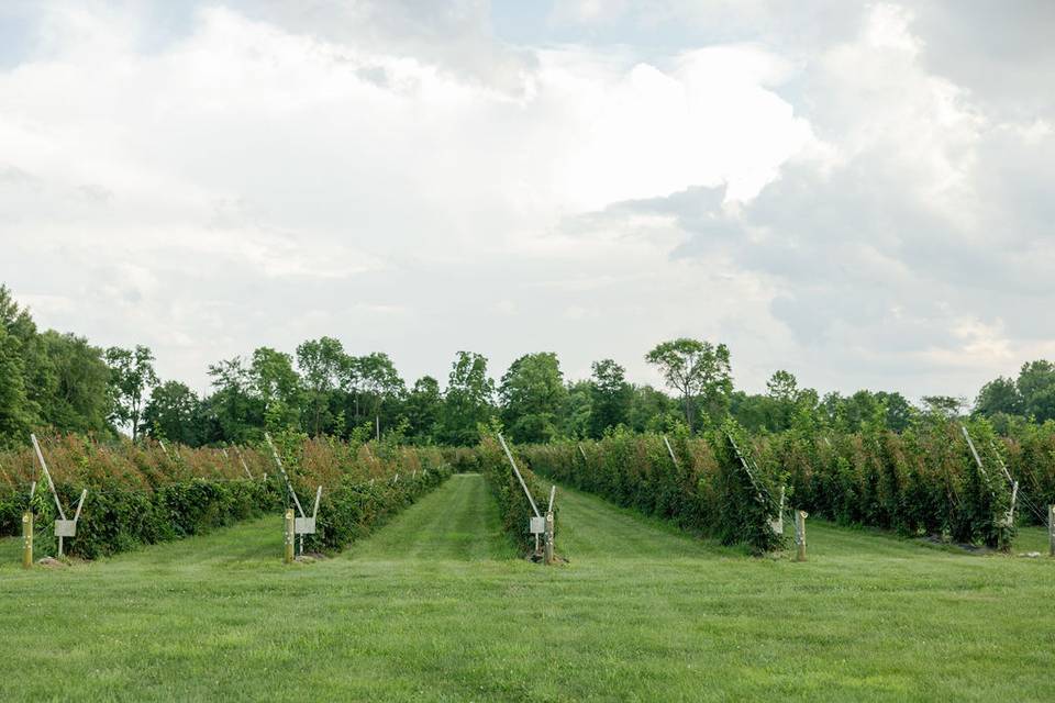 Blackberry farm wedding barn